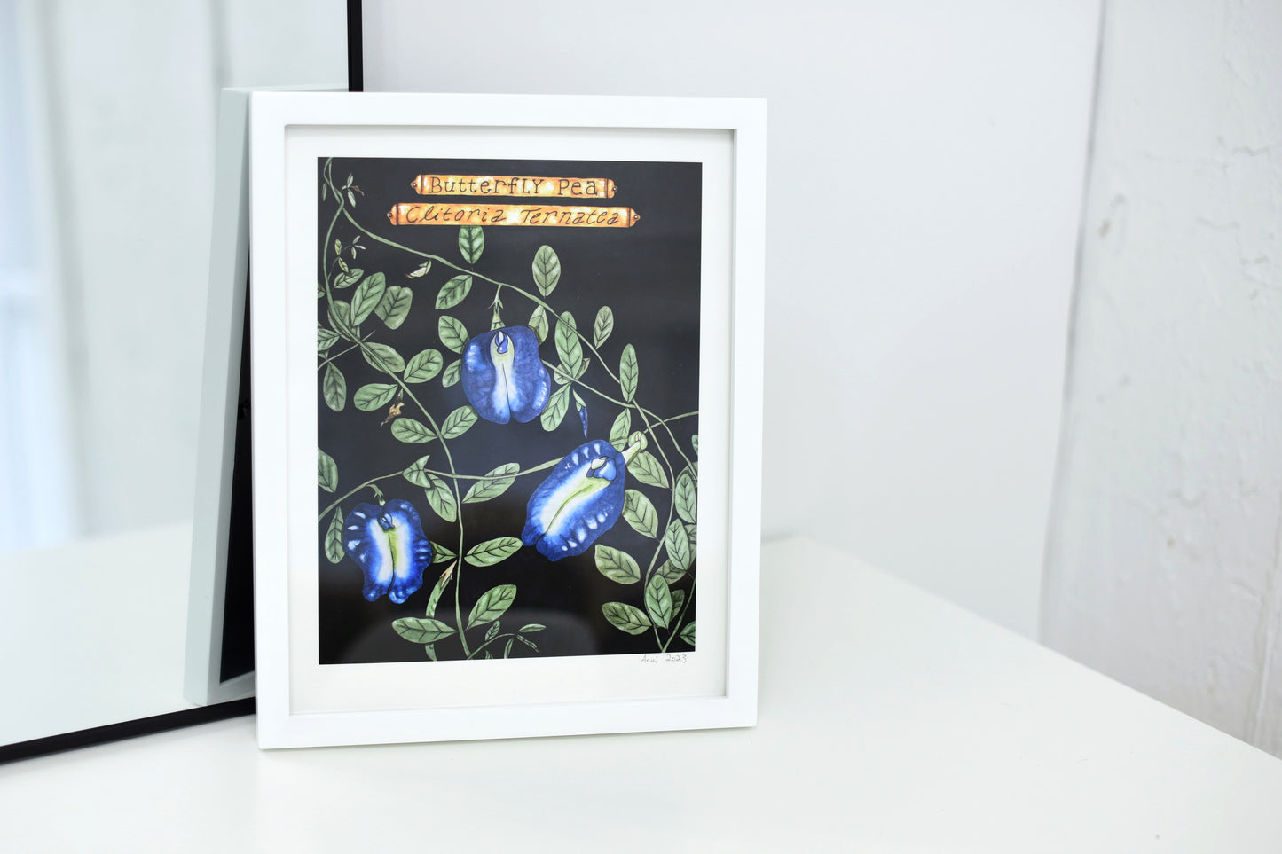 "Clitoria Ternatea" - signed art print