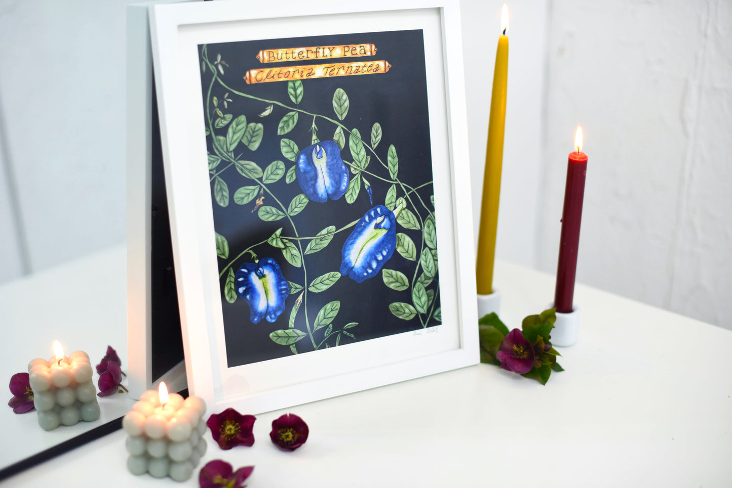 "Clitoria Ternatea" - signed art print