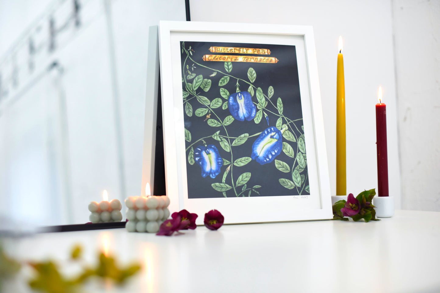 "Clitoria Ternatea" - signed art print