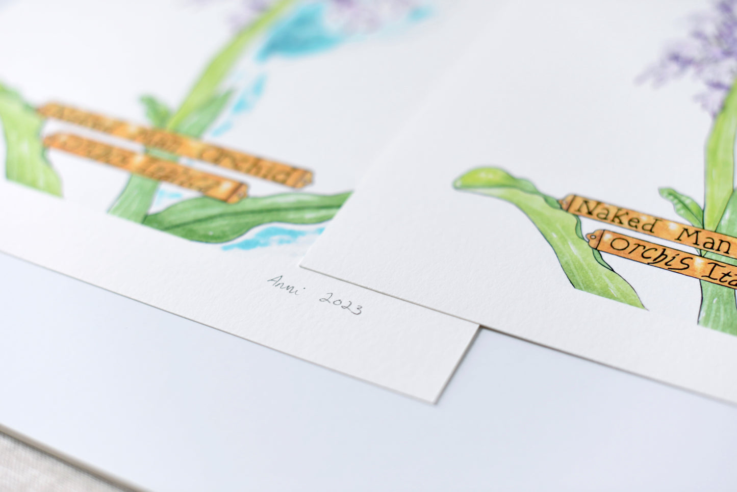 "Naked Man Orchid" - signed art print