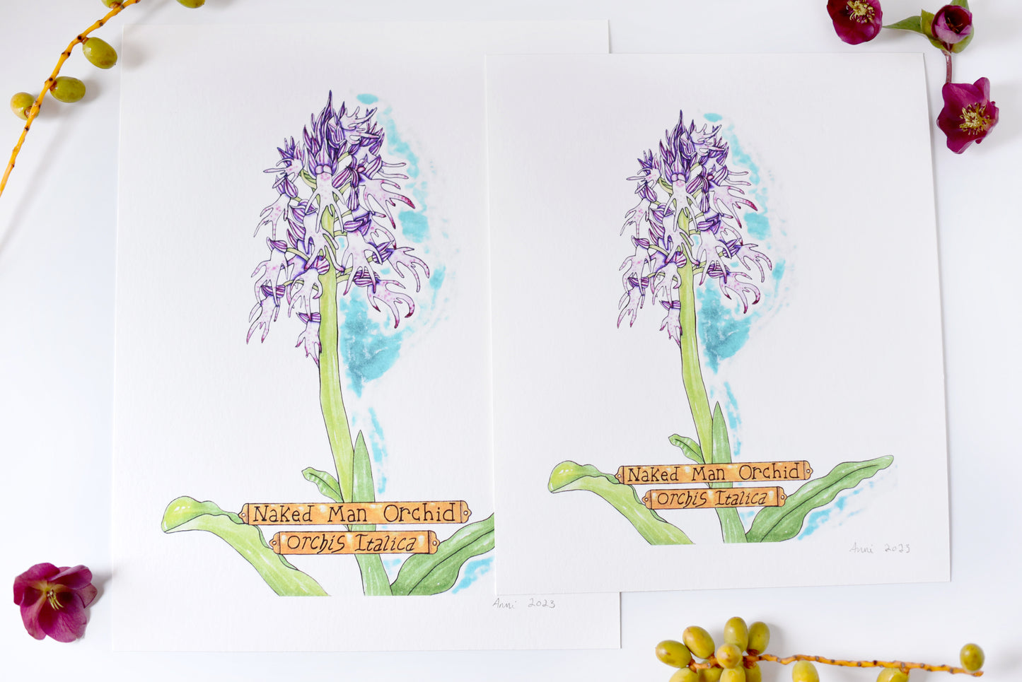 "Naked Man Orchid" - signed art print