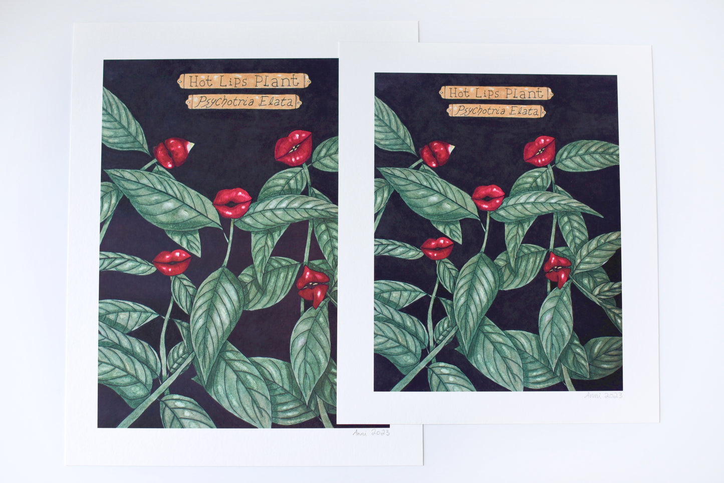 "Hot Lips Plant" - signed art print