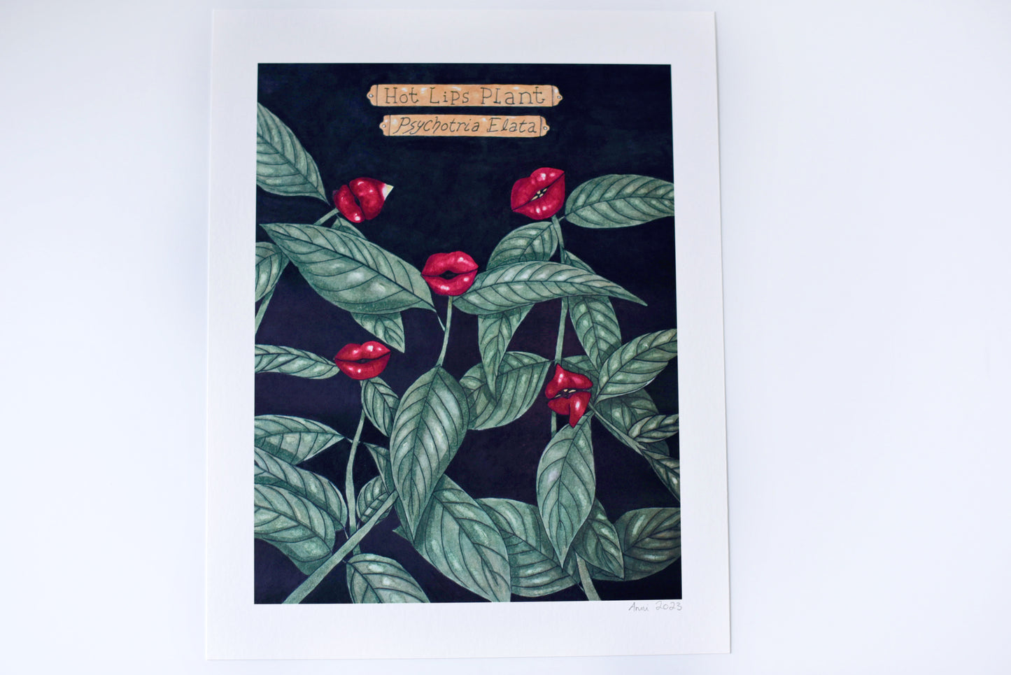 "Hot Lips Plant" - signed art print