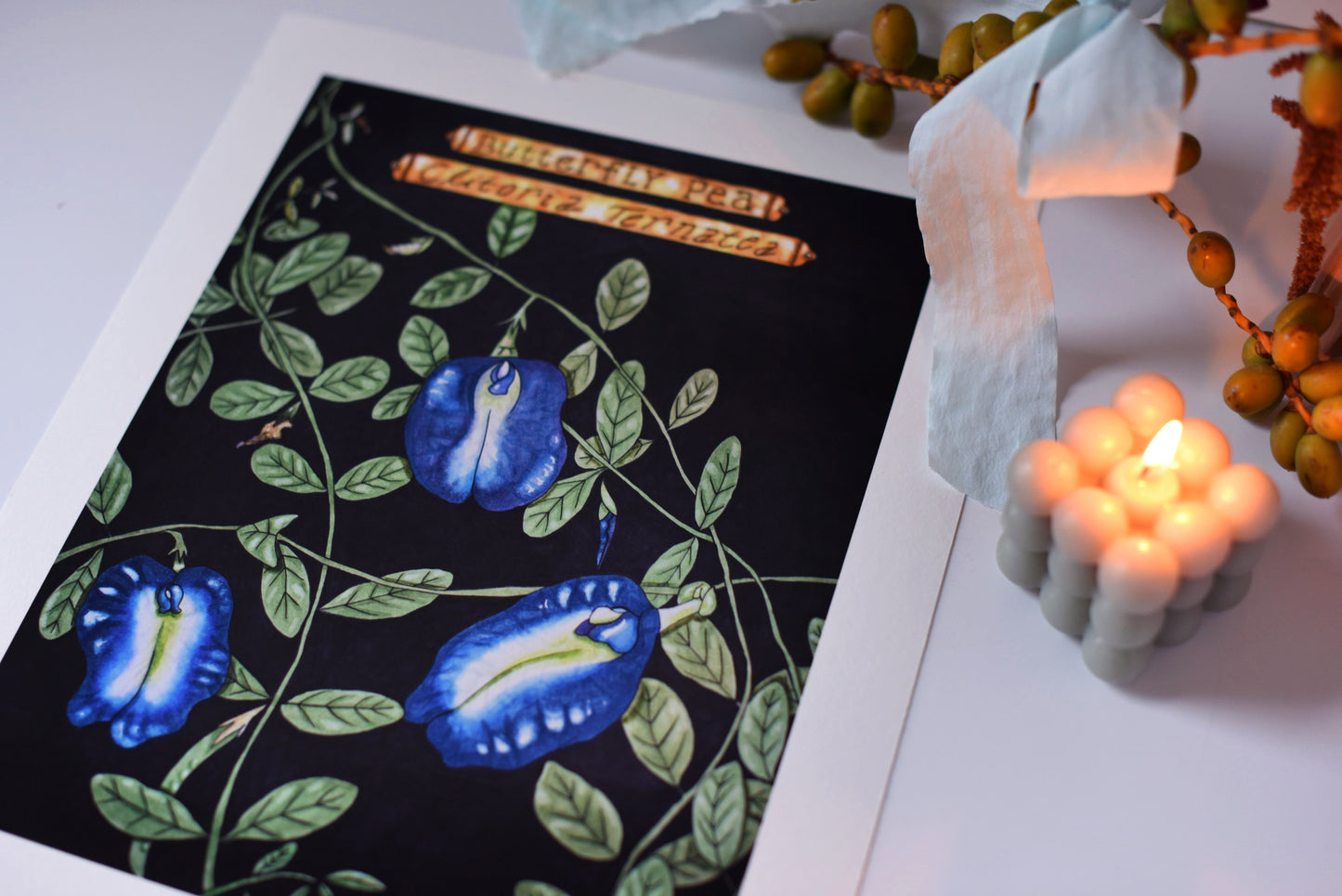 "Clitoria Ternatea" - signed art print