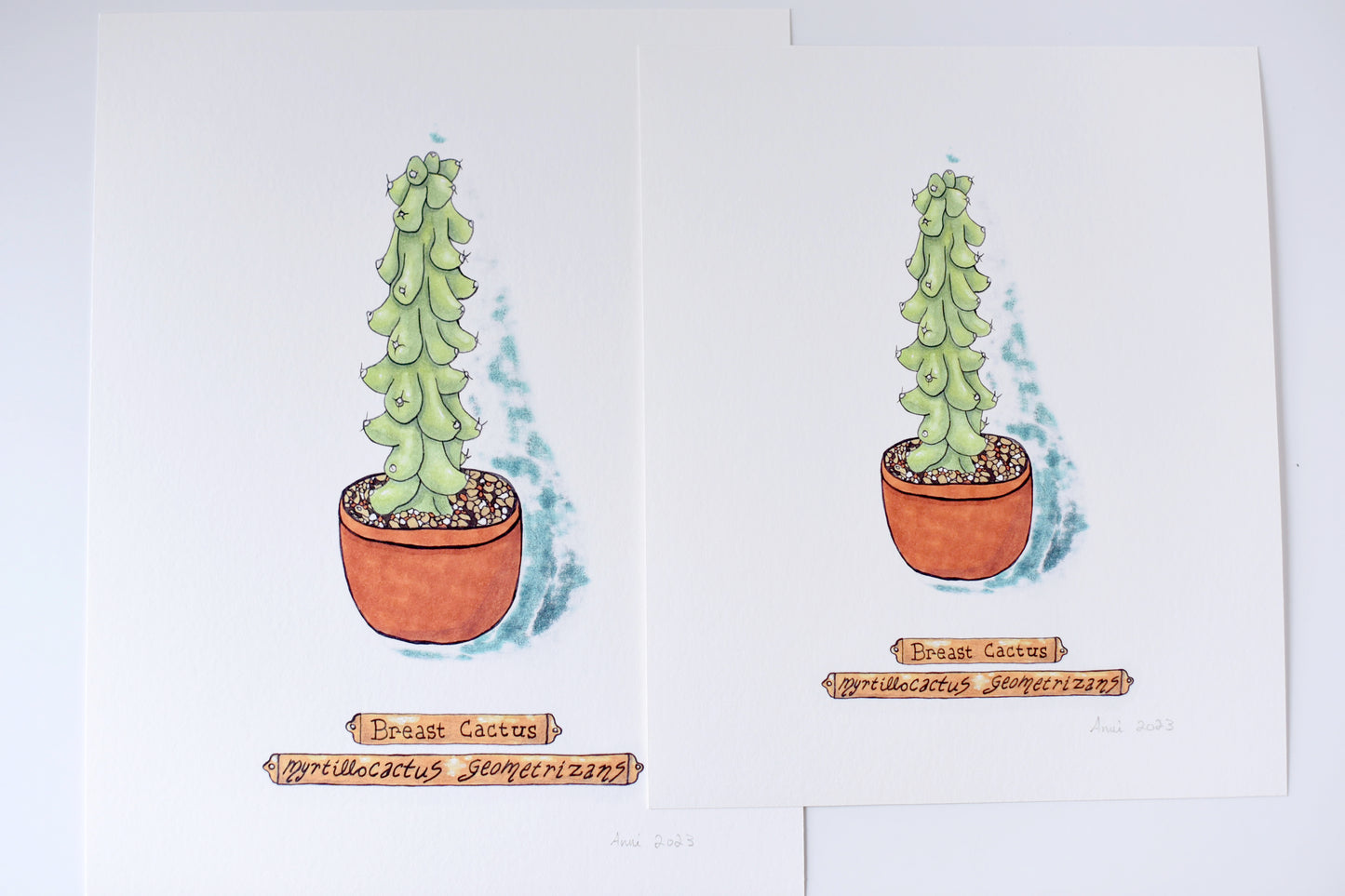 "Breast Cactus" - signed art print