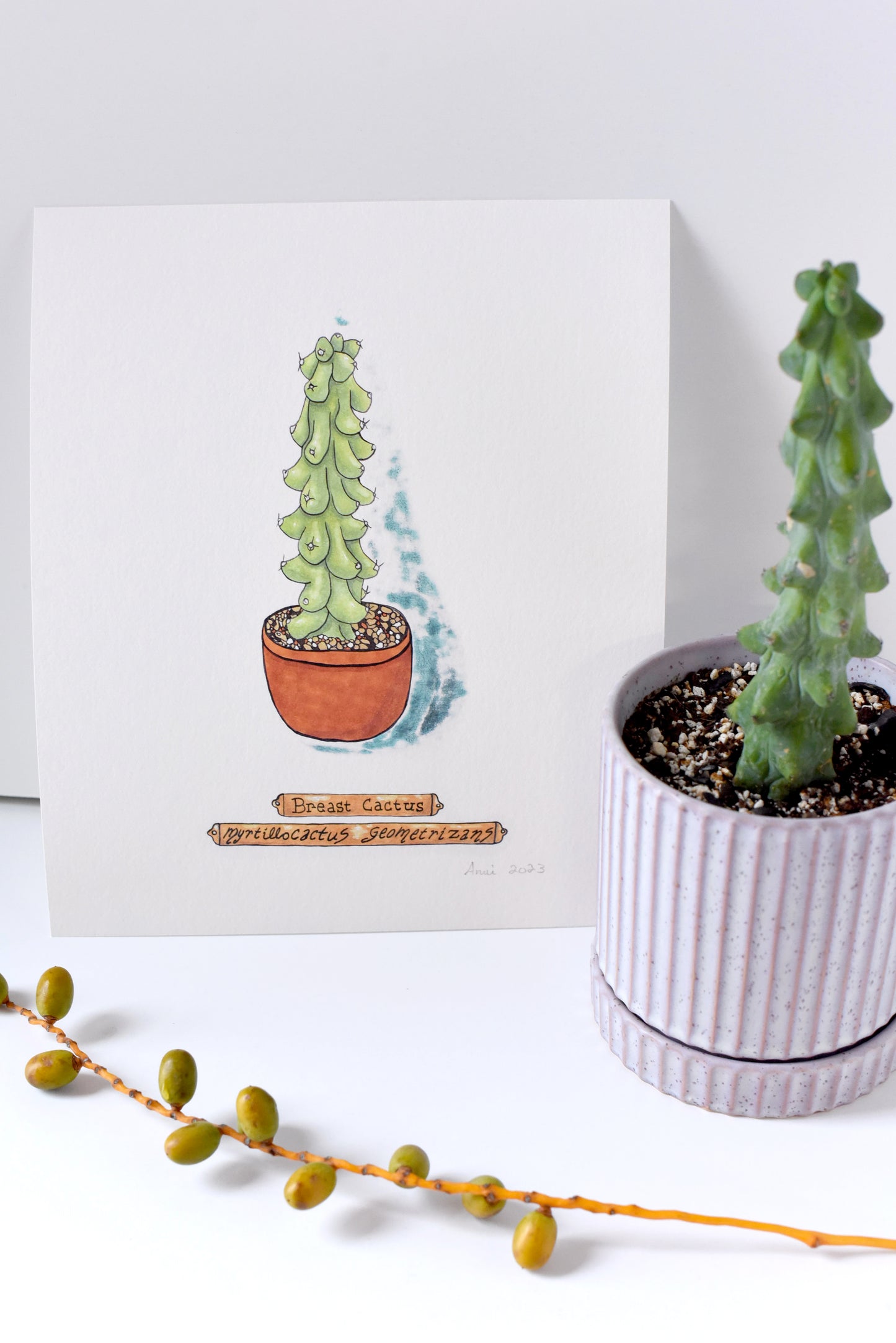 "Breast Cactus" - signed art print