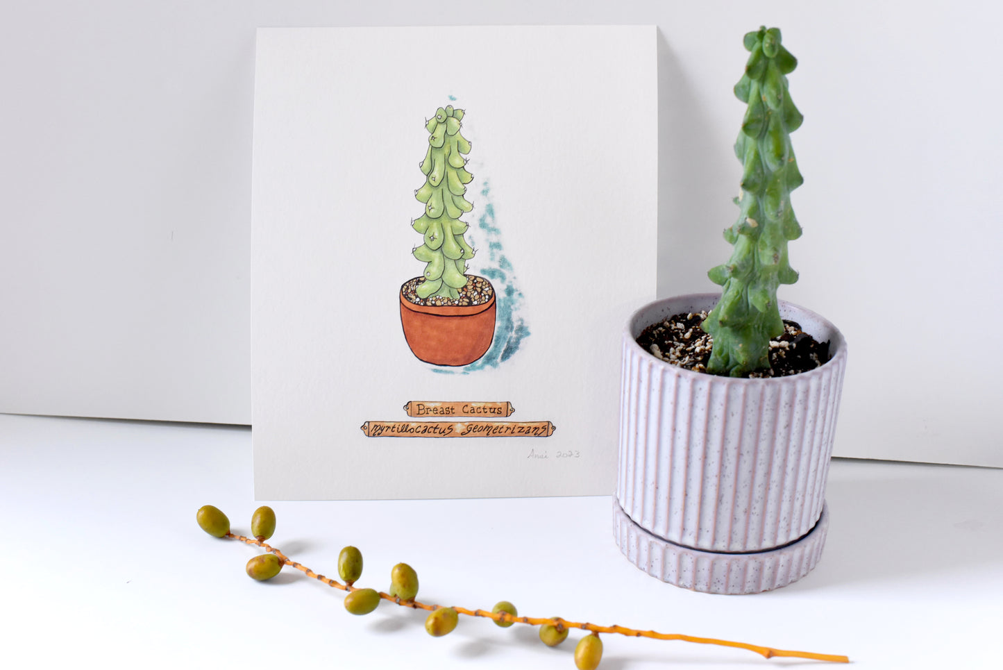 "Breast Cactus" - signed art print