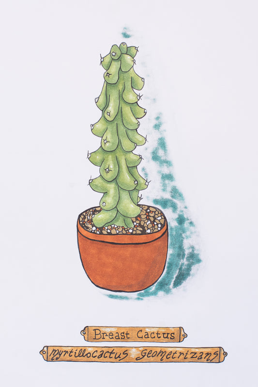 This illustration is done with copic markers. The drawing shows a breast cactus in a terra cotta colored pot.  On the bottom are 2 plaques that contain the plant information "Breast Cactus" "Myrtillocactus Geometrizans". If you don't know what these cactus's are like, well, imagine a tower of green boobies and you're pretty close!