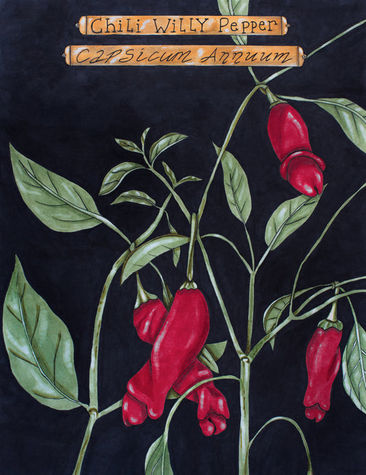 This is an illustration drawn with alchohol-based copic markers. The art shows a chili willy pepper plant which has peppers that are shaped like "willies" if you catch my drift. The peppers are drawn in bright red with green leaves and the art pops against a black background. 2 plaques at the top give the plant information: "Chili Willy Pepper" and the scientific name "Capsicum Annuum" 