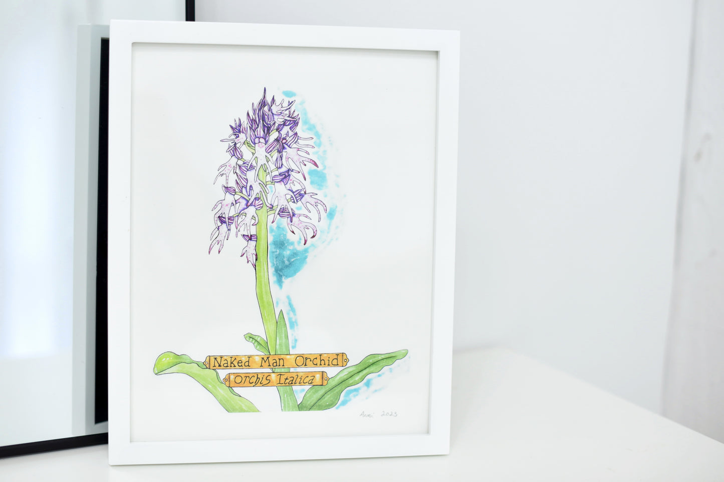 "Naked Man Orchid" - signed art print